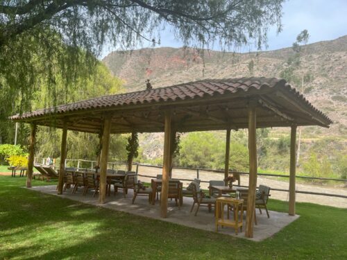 Retiro Transformar del Dolor al Amor  1 de noviembre – Sanar la raíz - Imagen 7