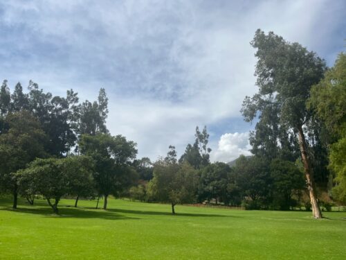 Retiro Transformar del Dolor al Amor  1 de noviembre – Sanar la raíz - Imagen 9